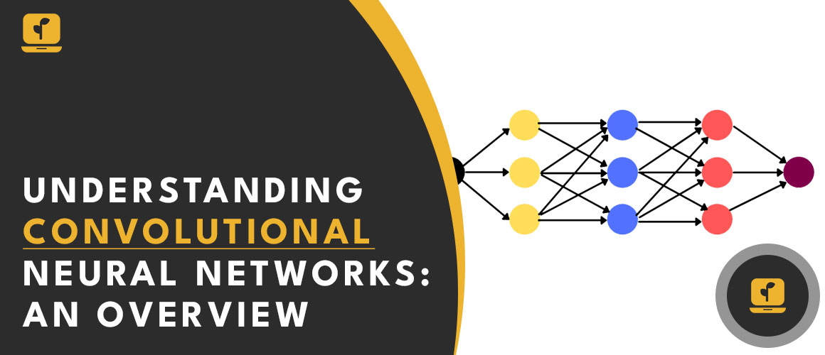 Understanding Convolutional Neural Networks An Overview seedpc.jpg