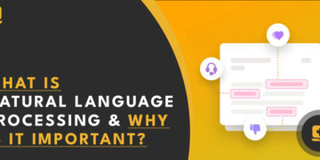 What is Natural Language Processing and Why is it Important seedpc