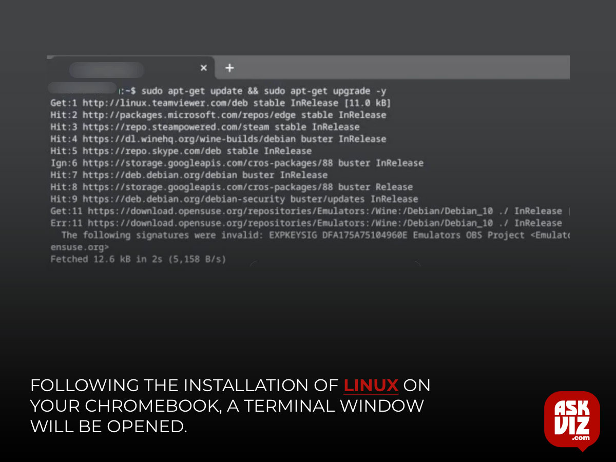 Following the installation of Linux on your Chromebook, a Terminal window will be opened askviz