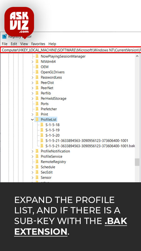 Expand the Profile List, and if there is a sub-key with the .bak extension, that means you have a duplicate entry askviz