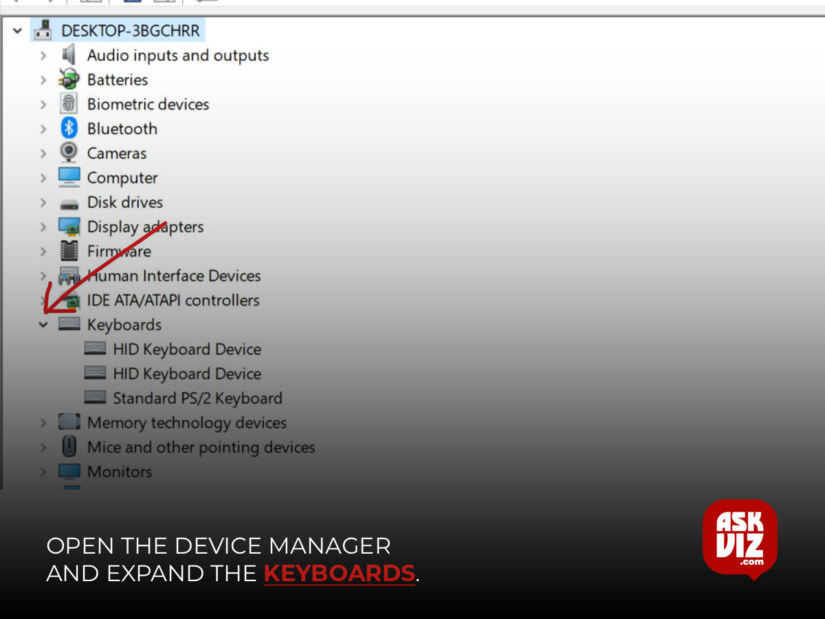 Open the device manager and expand the Keyboards askviz